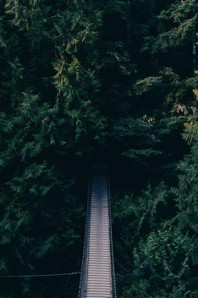 Applied Deep Learning